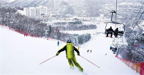 강원도 스키장, 눈 덮인 산속에서 만나는 커피 한 잔의 여유