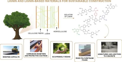  リグニン 高性能バイオベースプラスチックへの転換の可能性を秘めた素材！