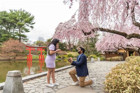 プロポーズ 3月 - 桜の季節に愛を誓う