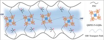  Quaternized Polyethyleneimine: その優れた抗菌性と柔軟な改質可能性は、未来の材料設計をどのように変えるのか！