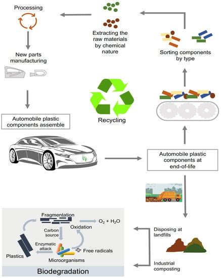  ウッドファイバープラスチックって一体何？建築・自動車部品にも応用される持続可能な未来素材！